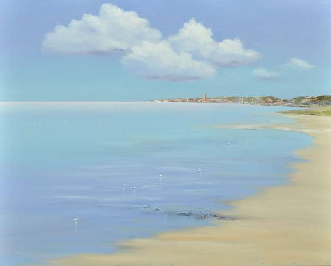 Jan Groenhart - Haven Terschelling  