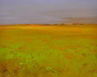 Jan Groenhart - Strijklicht